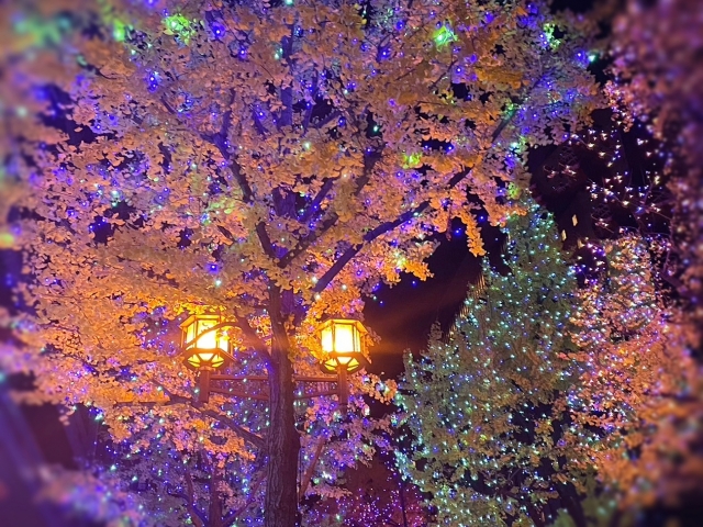 イルミネーション