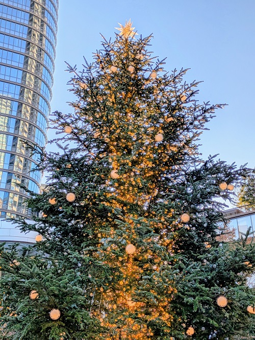 クリスマスツリー